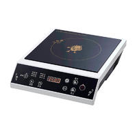 Induction Stove Industrial 220V YP-D01 3000W