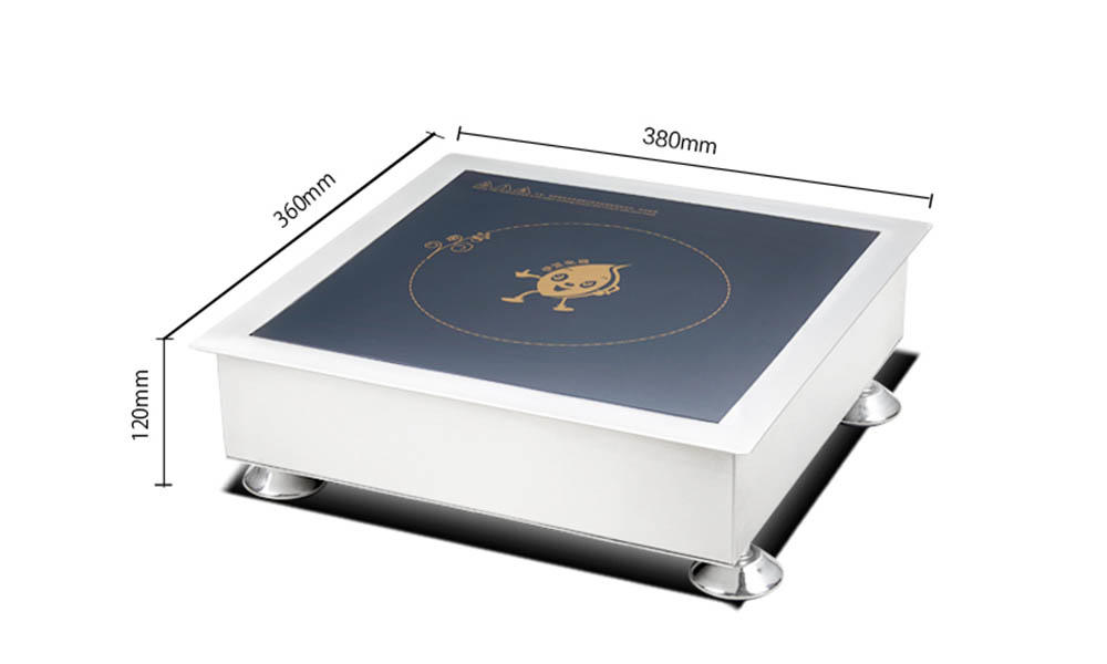 Earlston commercial induction burner directly sale for restaurant-1