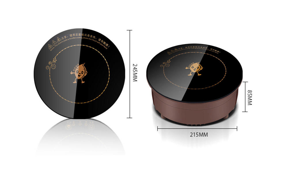 Earlston commercial precision induction cooktop series for household-1